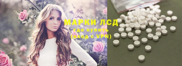 СК Зерноград