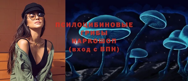 СК Зерноград