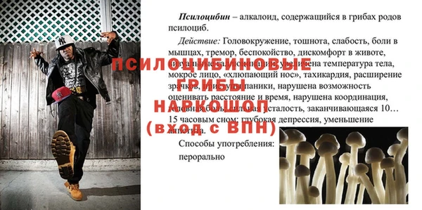 mdpv Зеленодольск