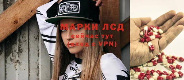 СК Зерноград