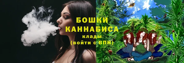 СК Зерноград