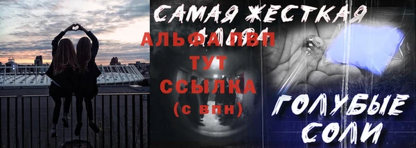 СК Зерноград