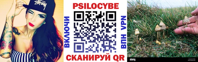 Купить закладки  Лабытнанги  Галлюциногенные грибы GOLDEN TEACHER 