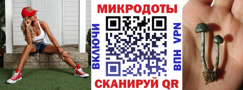 Псилоцибиновые грибы мицелий Лабытнанги